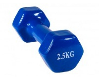 Гантель 2,5 кг 3853234 голубая