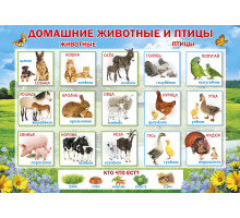 Плакат "Домашние животные и птицы"